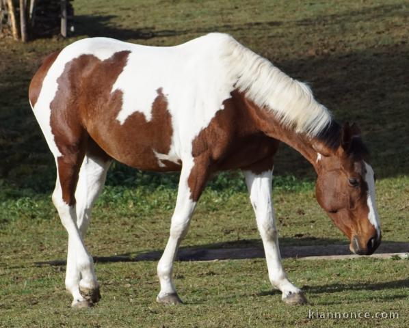 parrainage // grands parents de coeur sur l\