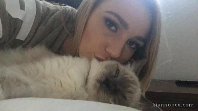 Disponible pour un plan coquin whatsapp 0756933674