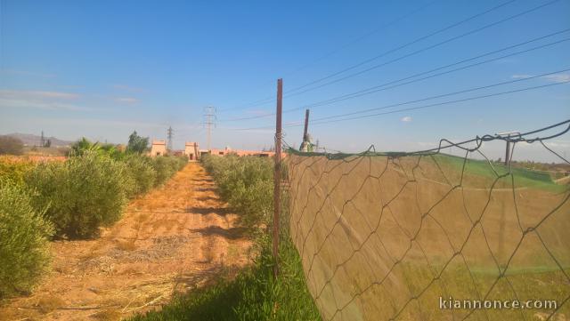 Très belle ferme titrée à 17 km de Marrakech