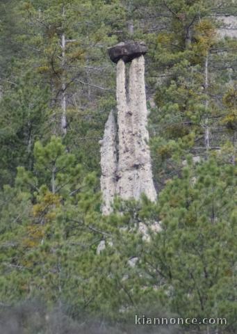 Forum gratuit , trouver sa famille de coeur ou ses grands parents