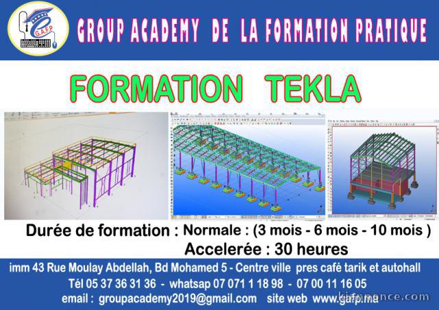 FORMATION TEKLA STRUCTURE 