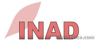 MEDIUM MARABOUT VOYANT RECONNU PAR L\