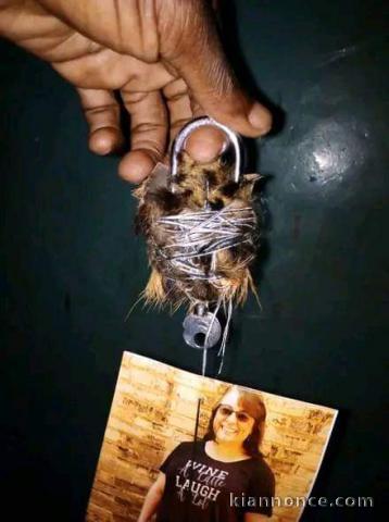 Experts voyant médium spécialiste spirituelles.