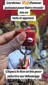 Retour d’affection rapide en France Belgique Suisse +22962017896.