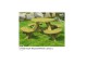 Jeux - accessoires jardin enfants - bacs a sable, prix bas !