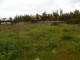 terrain de 1800 m² à vendre à Bir Kacem Souissi