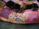 Adoption Chiots Cavalier King Charles Mâle et Femelle  