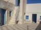 A VENDRE UN HOUCH A RENOUVELÉ A HOUMT SOUK DJERBA