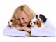 Sublimes Chiots Pure Race Cavaliers King Charles