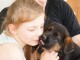 Chiot berger allemand femelle lof