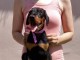 Dobermann chiots à vendre