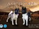 Akita américain chiots à vendre