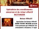 Marabout voyant médium guérisseur Retour Affectif Le Cendre 