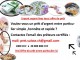  OFFRE DE PRET ENTRE PARTICULIER RAPIDE ET FIABLE Prêt Crédit Fin