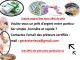 (  )  Pétite annonce d’offre de prêt