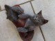 je donne chaton ch&acirc;treux disponible 